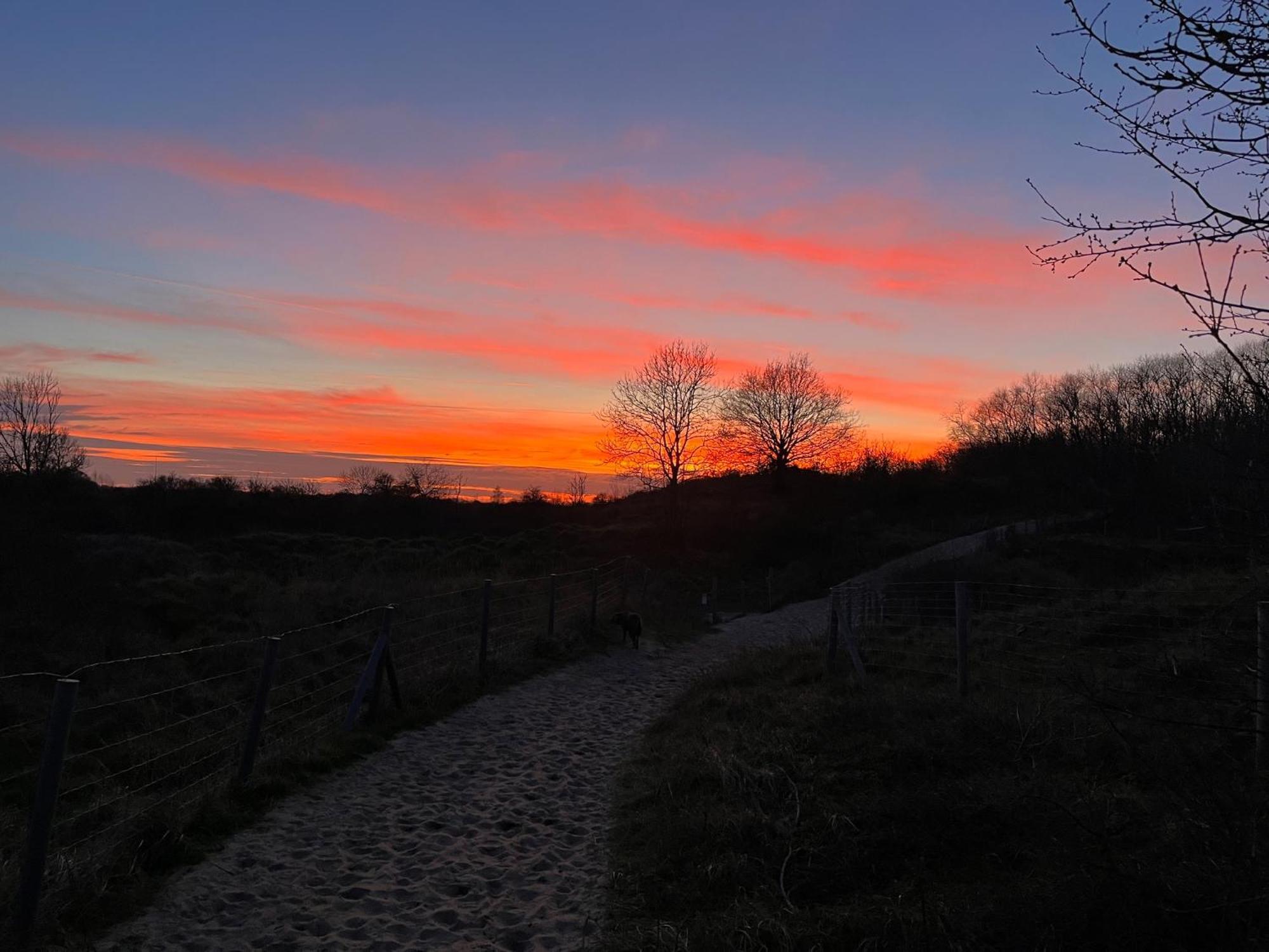 Logies La Parmentiere Apartment De Panne Bagian luar foto