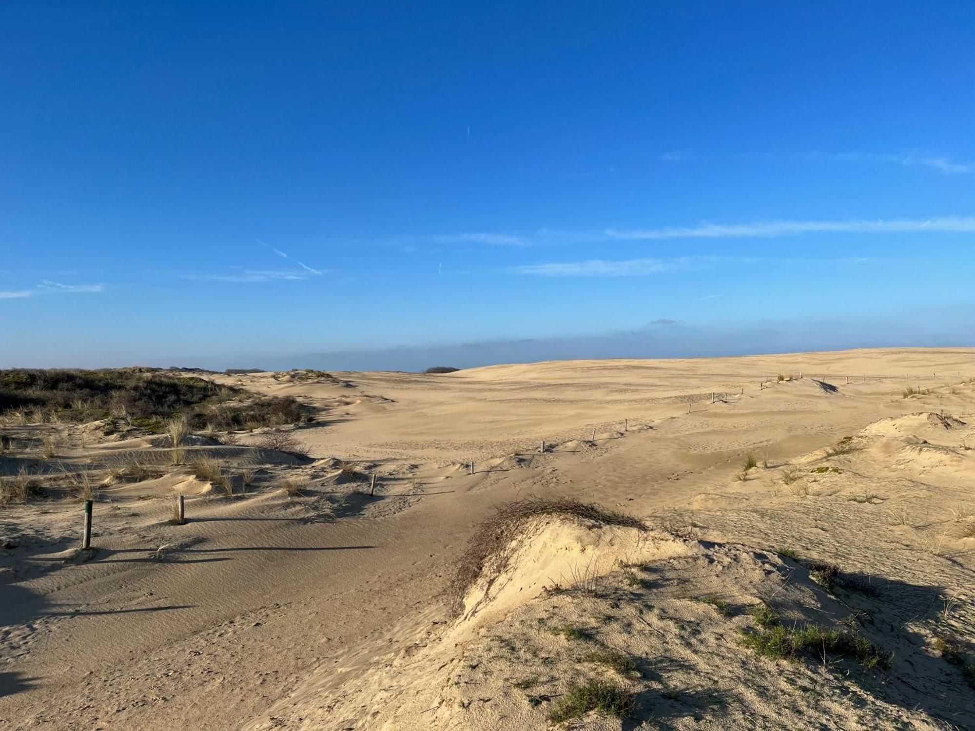Logies La Parmentiere Apartment De Panne Bagian luar foto