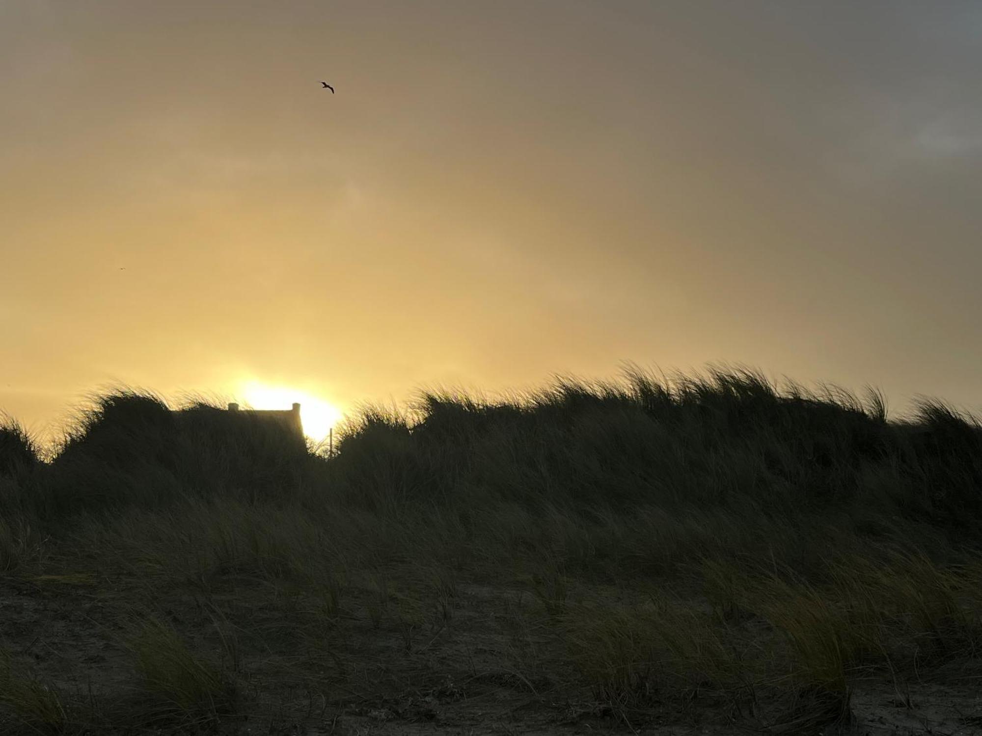 Logies La Parmentiere Apartment De Panne Bagian luar foto