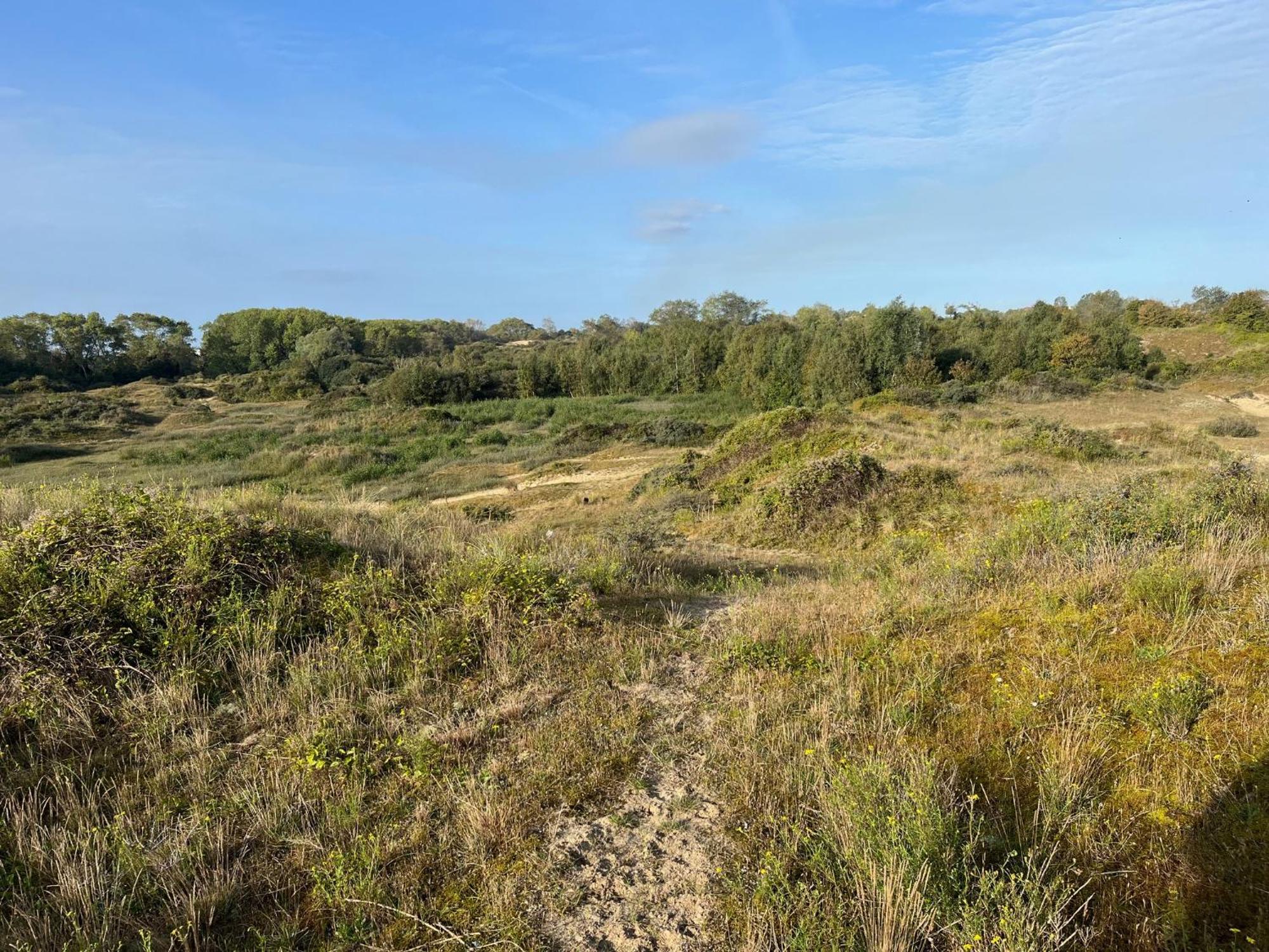 Logies La Parmentiere Apartment De Panne Bagian luar foto